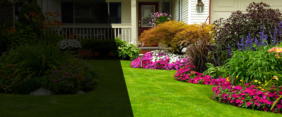 Eastlake Landscapers