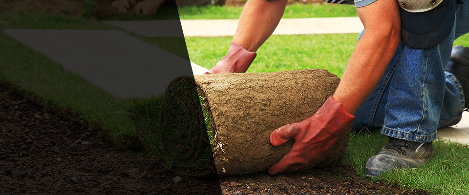 Eastlake Landscapers